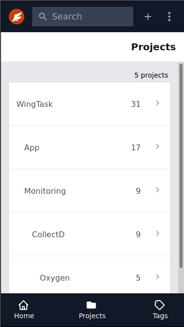 Actual screenshot of projects in WingTask